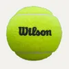 Мяч для падела Wilson Premier Padel, WR8908401001, уп.3 шт, FIP Approved, войлок, нат.резина,желтый за 1&nbsp;198.50 ₽ купить в Стерлитамаке