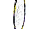 Ракетка бадм. TORRES Carbon PRO6, BD20521,для продв., стерж/обод из карбона,со струнами, фиол за 4&nbsp;477.80 ₽ купить в Стерлитамаке