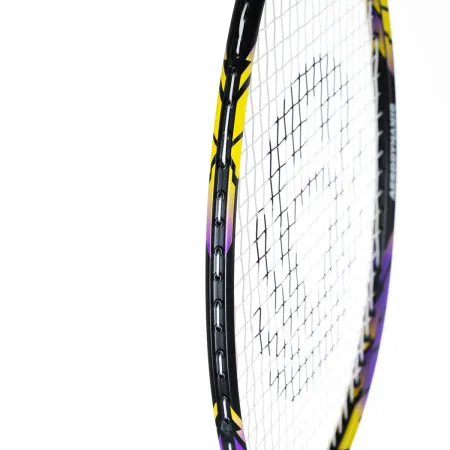 Ракетка бадм. TORRES Carbon PRO6, BD20521,для продв., стерж/обод из карбона,со струнами, фиол за 4&nbsp;477.80 ₽ купить в Стерлитамаке