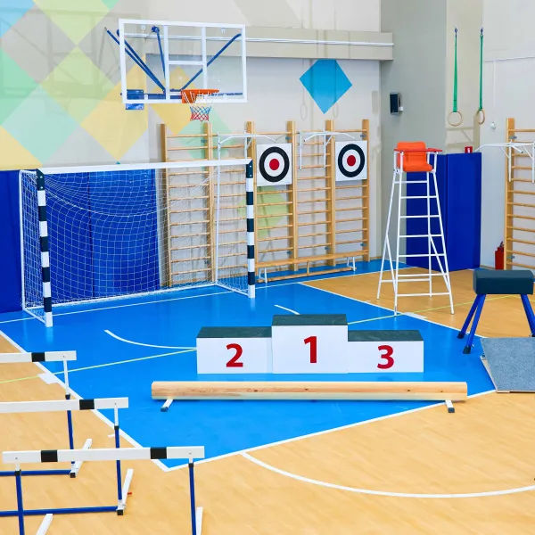 Щит для метания навесной на шведскую стенку (фанера) 700х700 ZAVODSPORTA за 8&nbsp;960 ₽ в Стерлитамаке
