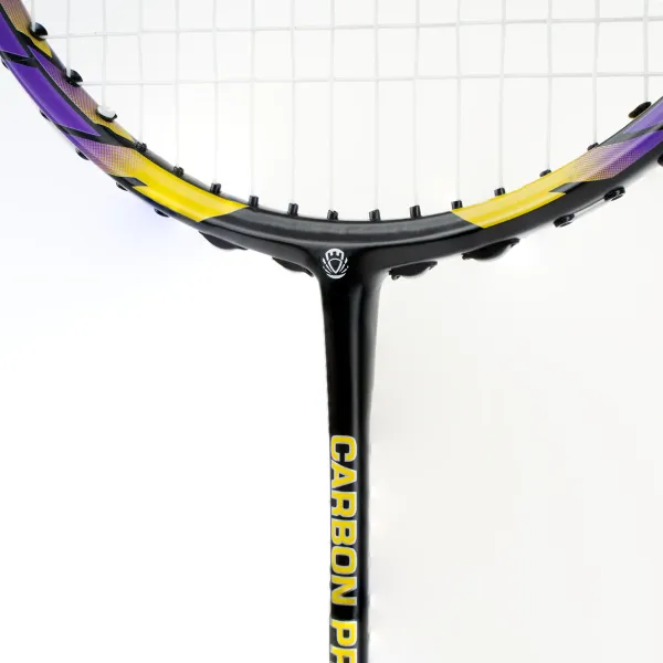 Ракетка бадм. TORRES Carbon PRO6, BD20521,для продв., стерж/обод из карбона,со струнами, фиол за 4&nbsp;477.80 ₽ в Стерлитамаке